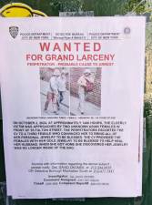 WANTED FOR GRAND LARCENY - Perpetrator - Probable Cause to Arrest. Water Street, November 2, 2024.