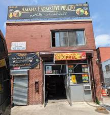 A halal poultry market in South Brooklyn.