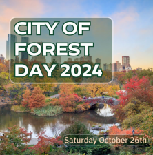 City of Forest Day, which started in 2022, will occur on October 26 this year. It’s a citywide celebration of trees, featuring more than 80 events.