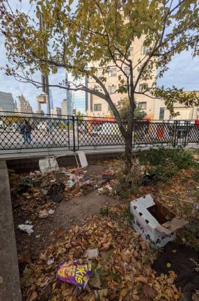 “Trash, go pick it up, take them lights away” sang the New York Dolls but in Sara D. Roosevelt Park, who still listens? October 28, 2024.