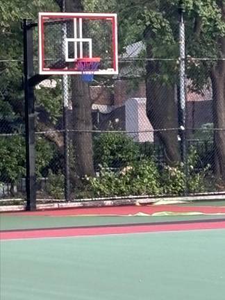 There are three basketball backboards at the eastern end of the playground in the northern part of Tompkins Sq. Park near East. 10th St.