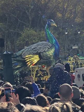 <b>Of course, the Macy’s Thanksgiving Day Parade has to have a turkey float or two.</b> Photo: Keith J. Kelly