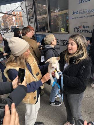 Crowds were drawn to the PupStarz Rescue van at a stop on Avenue A on Feb. 19. Photo: Keith J. Kelly