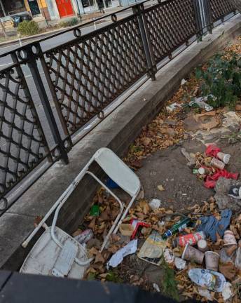 Garbage in... but not so much garbage out: the southern end of Sara D. Roosevelt Park, October 28, 2024.