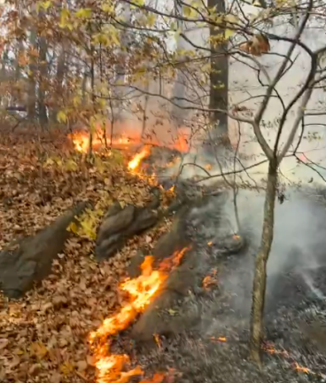 The brush fire that erupted in Inwood Hills Park in northern Manhattan on Nov. 13 burned at least four acres in the 198 acre park, one of the last natural forest lands on the island of Manhattan.