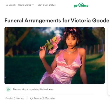 Screenshot of GoFundMe page for Victoria Goode.