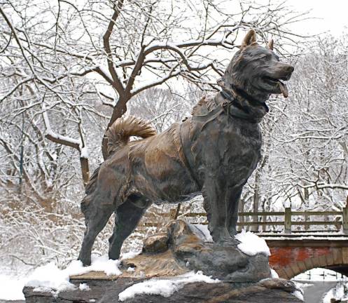 Long before Balto was memorialized in a 1995 animated movie, a bronze statue of him was installed in Central Park in 1925 commemorating the Siberian husky’s life saving dog sled run with life saving serum to Nome, Alaska ten months earlier. Photo: NYC Parks Dept.