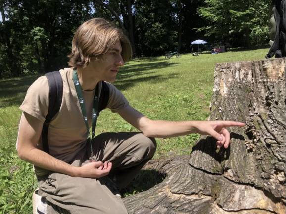 Skyler Young points out fungi growing on a stump in Van Cortland park. June 16, 2024.