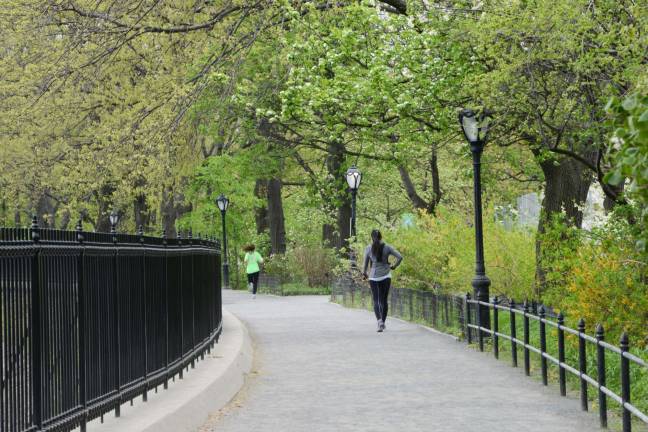 Central park jogging track resurfaced