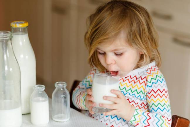 Milk is rich in calcium, protein and vitamins A and D, and while raw milk products that are not pasteurized may sound like they are “natural” and therefore “healthier,” it is actually the pasteurization process that kills off harmful bacteria.