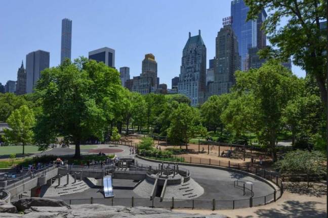 Dead body found in Central Park in same spot where body was found last year