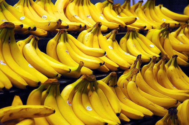 Bananas may be facing extinction, but scientists think they have discovered a way to combat the fungus that wiped out one of the original banana lines in the 1950s.