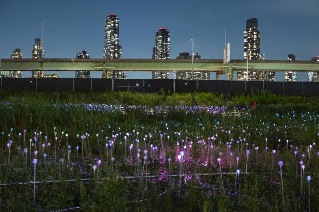 The Field of Light, designed by Bruce Munro, sits on a site that may one day host a casino administered by Soloviev Group and Mohegan Sun.