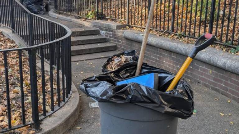 Thank your local parks worker today! Sara D. Roosevelt Park, October 30, 2024.