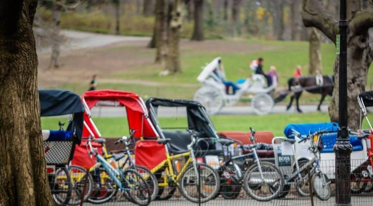 Pedicabs lined up waiting for use. According to an indictment announced by the Manhattan DA’s office, pedicab owner Shokhru Alimov allegedly bribed a city inspector in Central Park after failing to receive more than one registration plate in the annual licensing lottery.