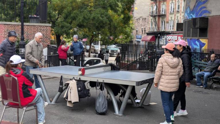 Table tennis, along with dance exercise, and cards, are among the activities Chinese people enjoy at Sara D. Roosevelt Park. October 28, 2024.