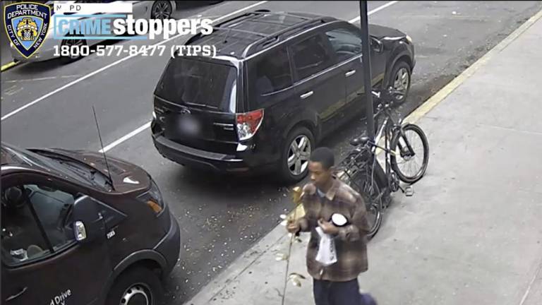 Deikel Alacantara calmly walks down E. 31st Street, golden rose in right hand.