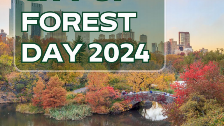 City of Forest Day, which started in 2022, will occur on October 26 this year. It’s a citywide celebration of trees, featuring more than 80 events.